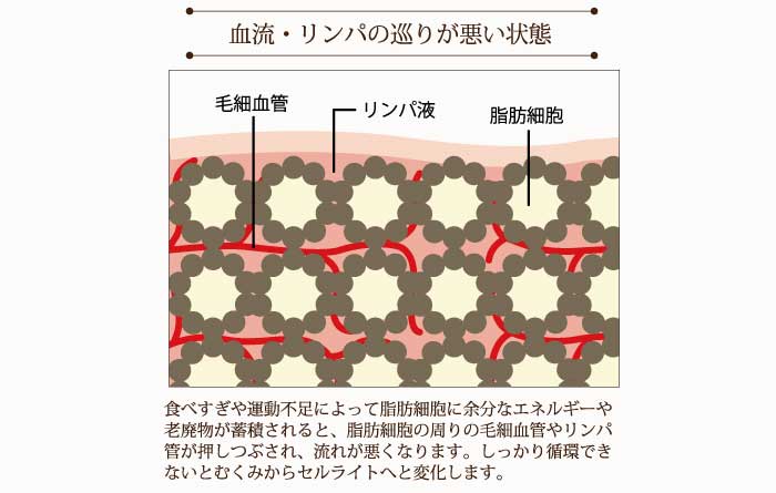 血管・リンパの流れが悪い状態