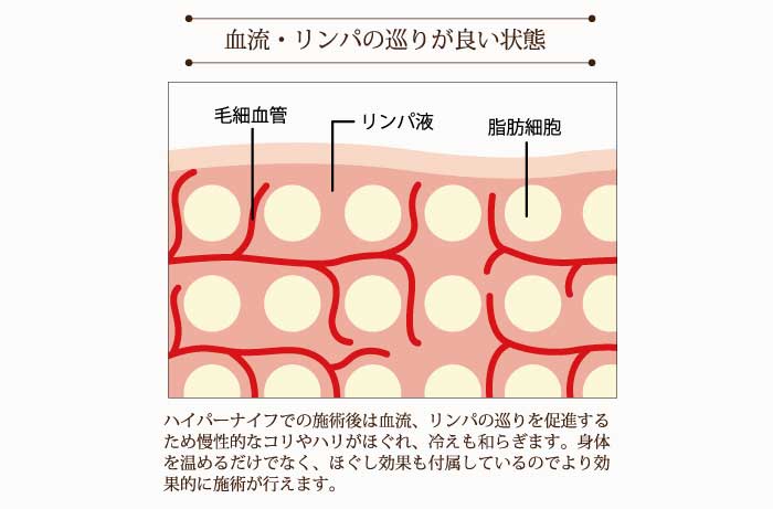 血管・リンパの流れが良い状態