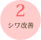 シワかいぜん