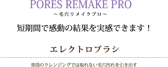 PORES REMAKE PRO ～毛穴リメイクプロ～