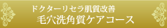 ドクターリセラ肌質改善毛穴洗角質コース