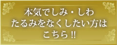 本気でしみ・しわ・たるみを治したい方